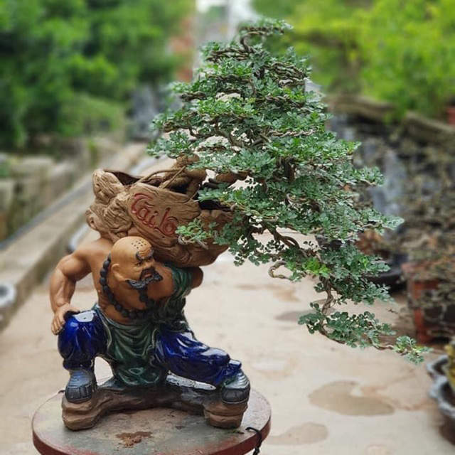các A la hán trong phật giáo