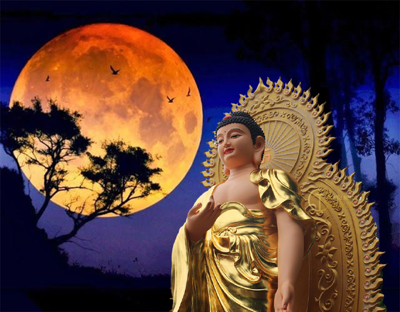 Tụng Niệm A Di Đà Kinh