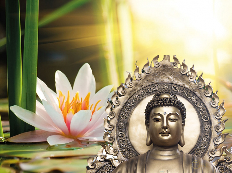 Tụng Niệm A Di Đà Kinh