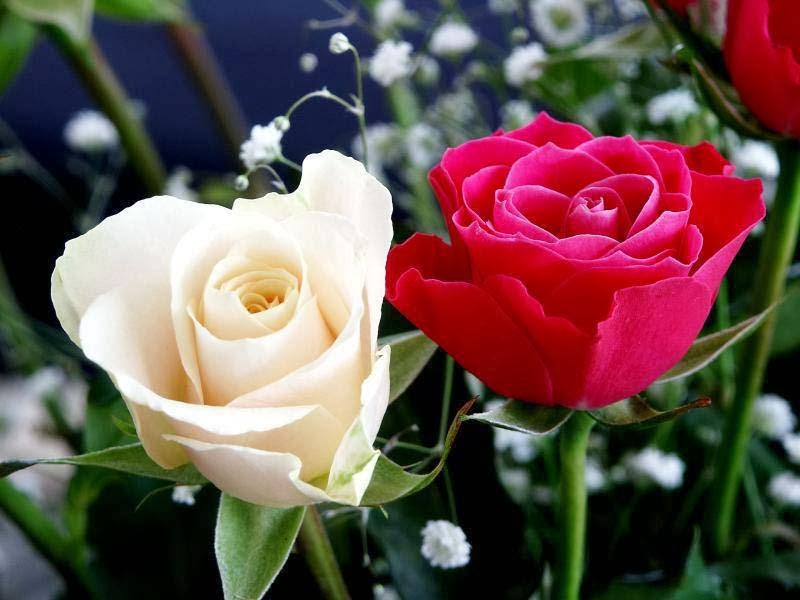 Đại Lễ Vu Lan báo hiếu