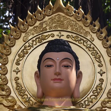 Tuong Phat Thich Ca Mau Ni (3)
