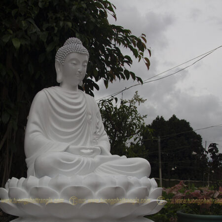 Tuong Phat Thich Ca Ngoi Thien (7)