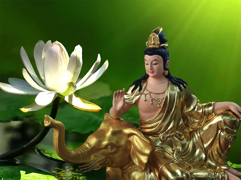 phổ hiền bồ tát hợp tuổi nào
