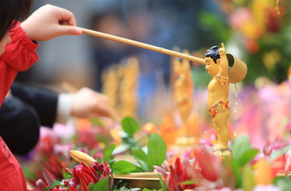 lễ phật đản có ý nghĩa gì