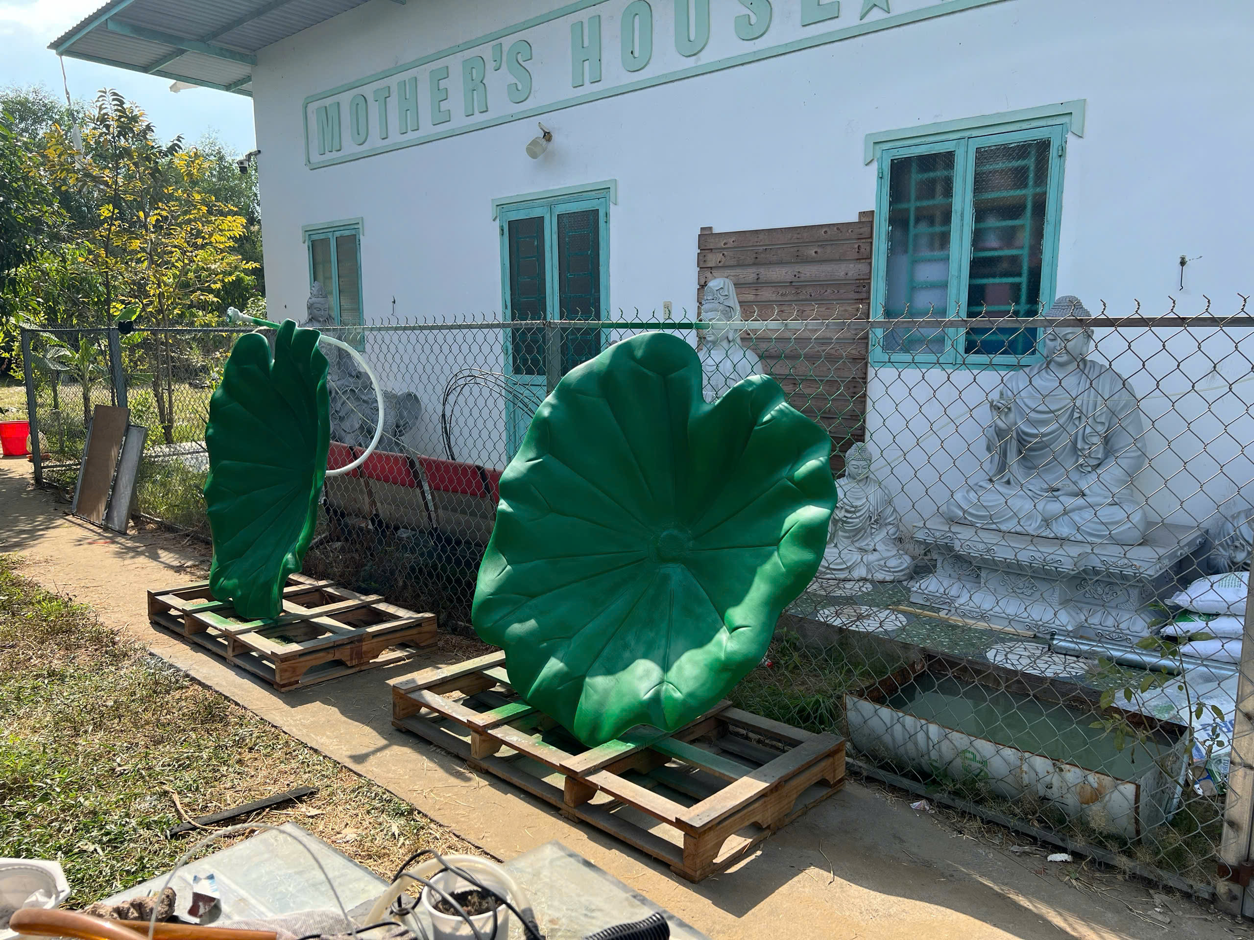 lá sen che tượng phật