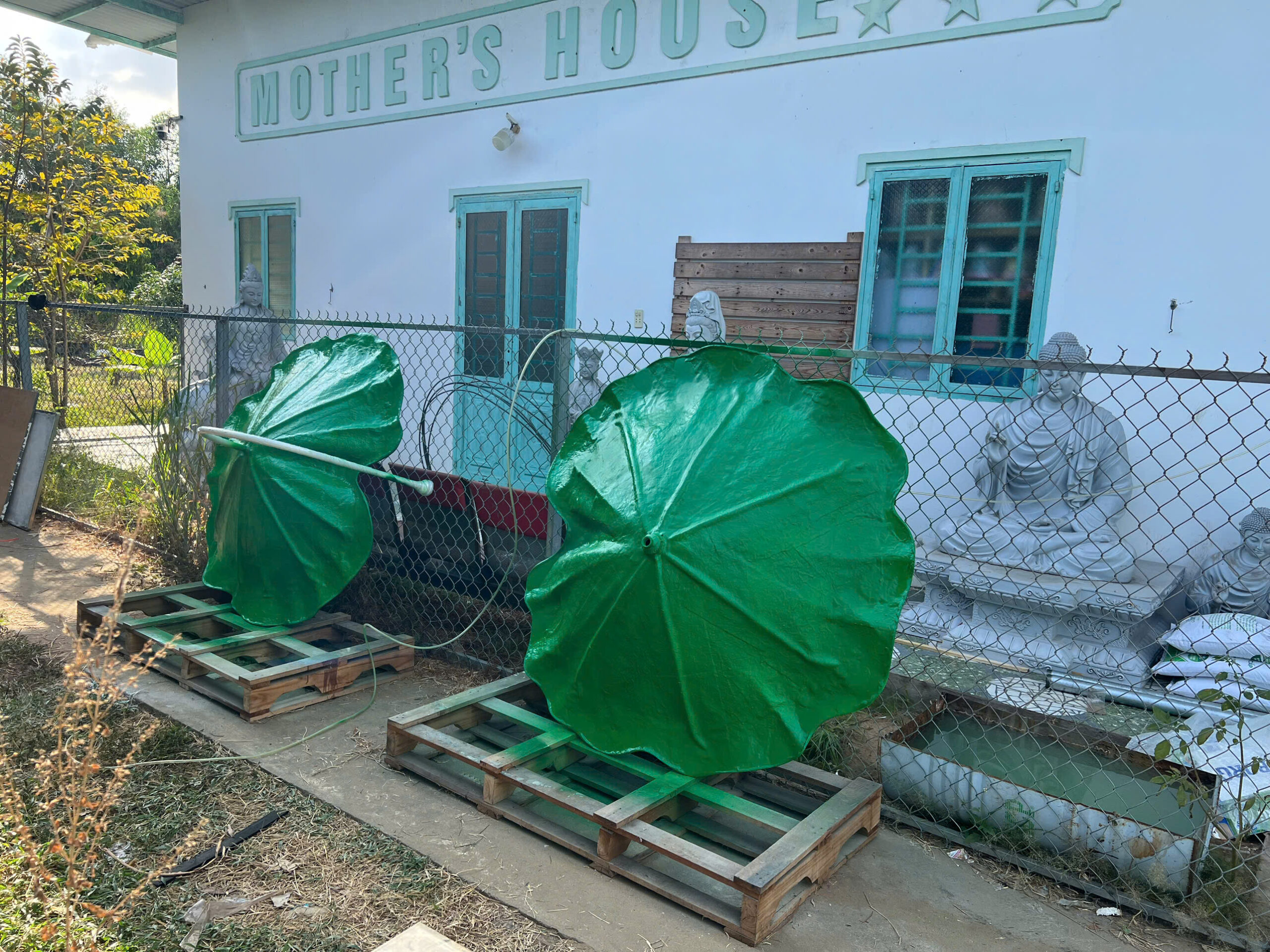 lá sen che tượng phật